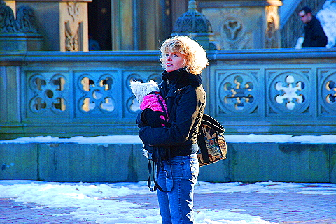 NY-Christmas_in_Central_Park-2008-54.JPG