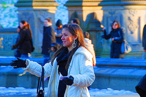 NY-Christmas_in_Central_Park-2008-59.JPG