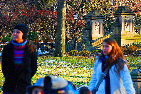 NY-Christmas_in_Central_Park-2008-61.JPG