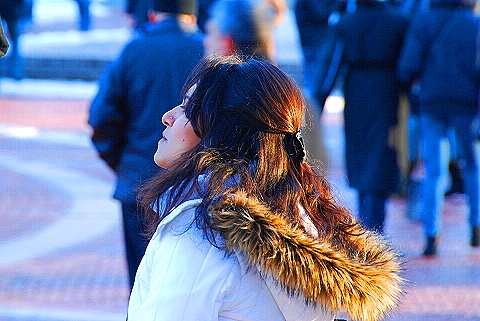 NY-Christmas_in_Central_Park-2008-62.JPG