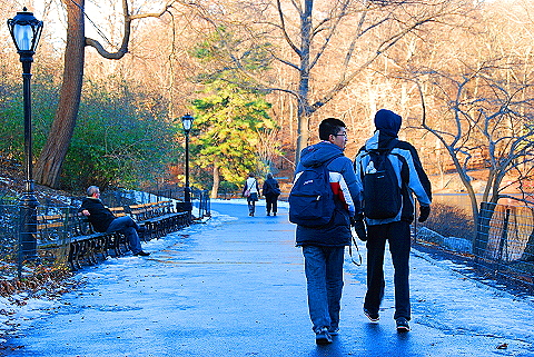 NY-Christmas_in_Central_Park-2008-66.JPG