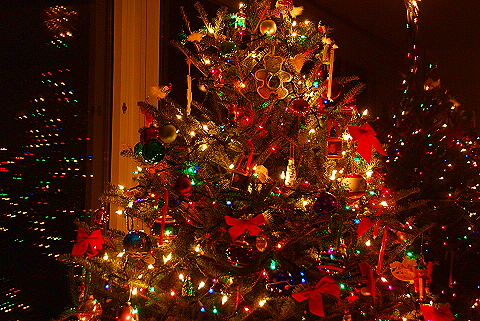 NY-Christmas_Tree-West_Side_Highway-01.JPG