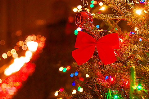 NY-Christmas_Tree-West_Side_Highway-07.JPG