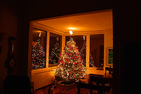 NY-Christmas_Tree-West_Side_Highway-11.JPG
