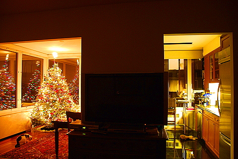 NY-Christmas_Tree-West_Side_Highway-12.JPG