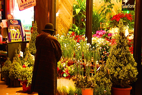 NY-Christmas_Windows_on_Amsterdam_Avenue-0105.JPG