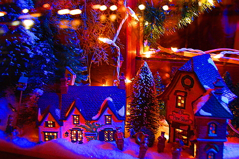 NY-Christmas_Windows_on_Amsterdam_Avenue-0111-P&G_Cafe_Bar.JPG