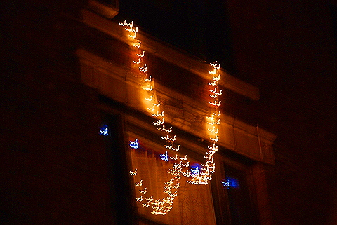 NY-Christmas_Windows_on_Amsterdam_Avenue-0143.JPG