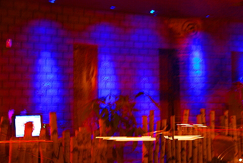 NY-Christmas_Windows_on_Amsterdam_Avenue-0150-Fuscha.JPG