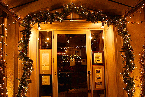 NY-Christmas_Windows_on_Amsterdam_Avenue-0153-Cesca.JPG