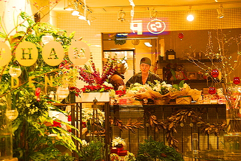NY-Christmas_Windows_on_Amsterdam_Avenue-0157-Gotham_Gardens.JPG