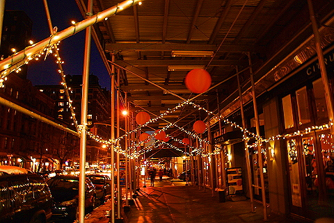 NY-Christmas_Windows_on_Amsterdam_Avenue-0158-Gotham_Gardens.JPG