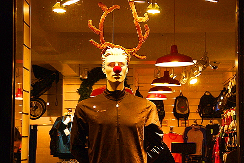 NY-Christmas_Windows_on_Amsterdam_Avenue-0161.JPG