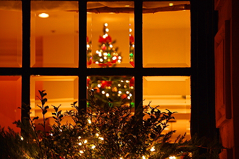 NY-Christmas_Windows_on_Amsterdam_Avenue-0171.JPG