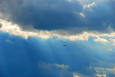 NY-Clouds_over_The_Hudson_River-2.JPG