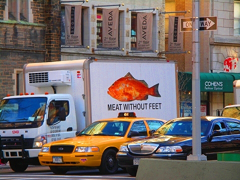 NY-Columbia_University-Spring-2008-Meat_Without_Feet.JPG