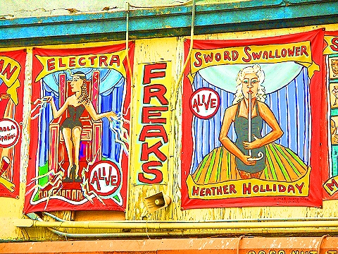 NY-Coney_Island_Museum_and_Sideshows_at_the_Seashore-03.JPG