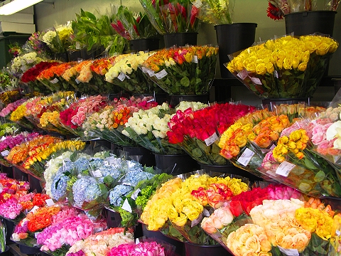 NY-Fairway-like_no_other_market-74th_and_broadway-flowers-01.jpg
