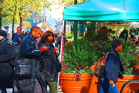 NY-Farmers_Market-Lincoln_Ctr-66th_St-05.JPG