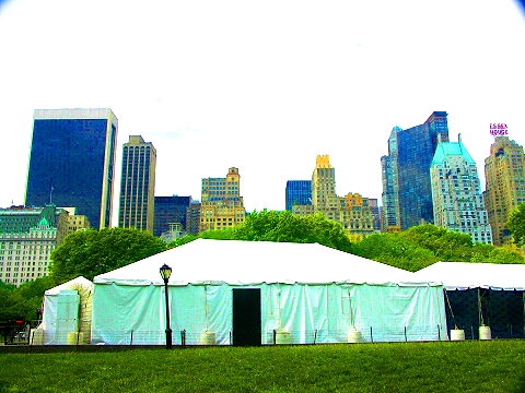 NY-FOX_Network_Upfront-2008-2009_Season-Wollman_Rink-Trump-05.JPG