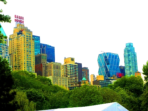 NY-FOX_Network_Upfront-2008-2009_Season-Wollman_Rink-Trump-06.JPG