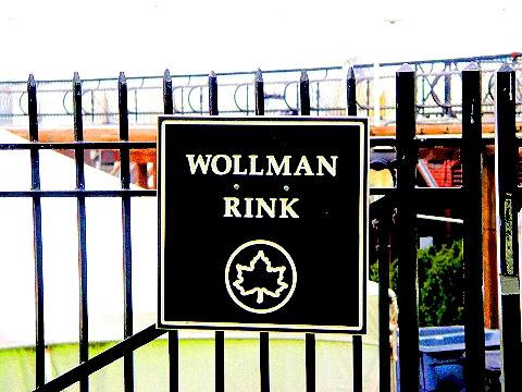 NY-FOX_Network_Upfront-2008-2009_Season-Wollman_Rink-Trump-11.JPG