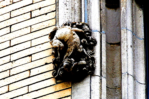 NY-Gargoyles_Cherubs_Beasts_Dragons-Riverside_Dr-03.JPG