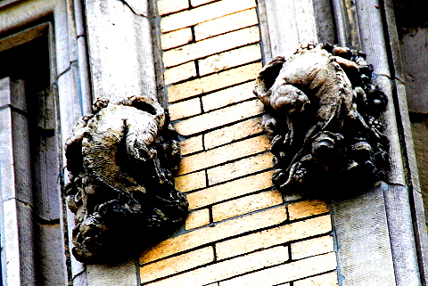 NY-Gargoyles_Cherubs_Beasts_Dragons-Riverside_Dr-04.JPG