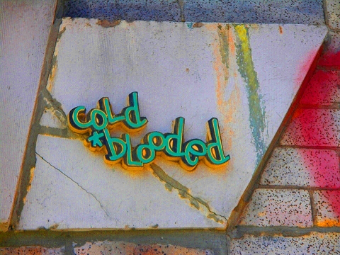 NY-Graffiti_on_Avenue_C-Alphabet_City-LES-07.JPG