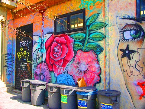 NY-Graffiti_on_Avenue_C-Alphabet_City-LES-11.JPG