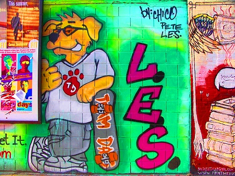 NY-Graffiti_on_Avenue_C-Alphabet_City-LES-15.JPG
