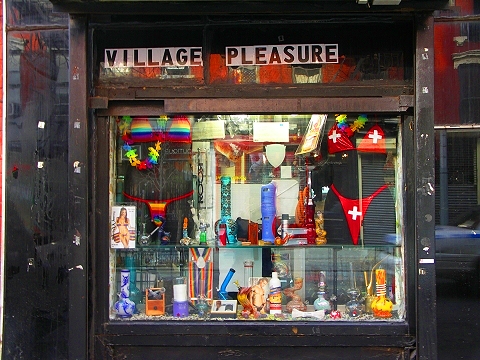 NY-Greenwich_Village-Christmas_Windows-07-Village_Pleasure.JPG