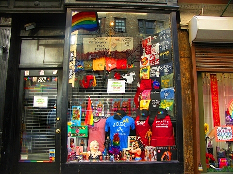 NY-Greenwich_Village-Christmas_Windows-12.JPG