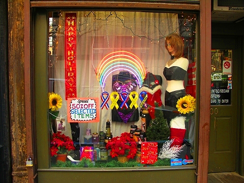 NY-Greenwich_Village-Christmas_Windows-14.JPG