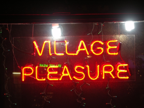 NY-Greenwich_Village-Christmas_Windows-16.JPG