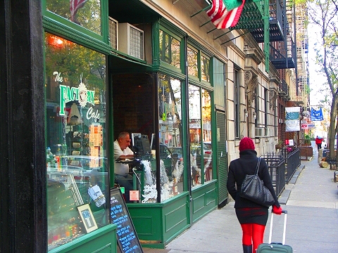 NY-Greenwich_Village-Christmas_Windows-16.JPG