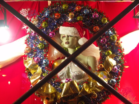 NY-Greenwich_Village-Christmas_Windows-17.JPG