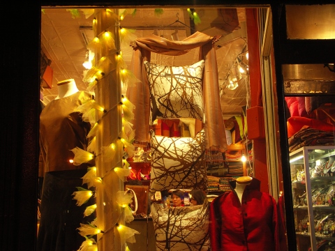 NY-Greenwich_Village-Christmas_Windows-23.JPG