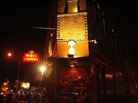 NY-Greenwich_Village-Christmas_Windows-32.JPG