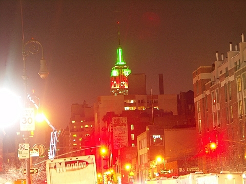 NY-Greenwich_Village-Christmas_Windows-47.JPG