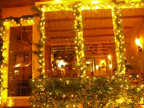 NY-Greenwich_Village-Christmas_Windows-48.JPG