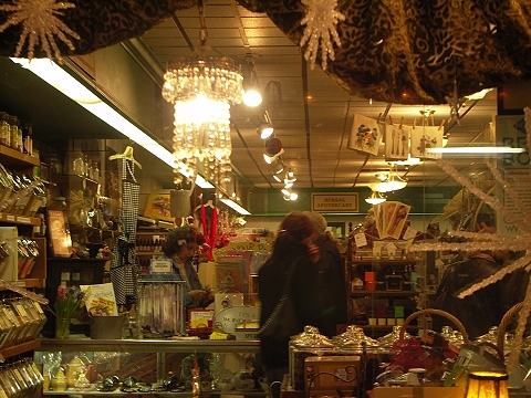 NY-Greenwich_Village-Christmas_Windows-52.JPG