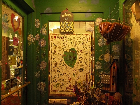 NY-Greenwich_Village-Christmas_Windows-53.JPG