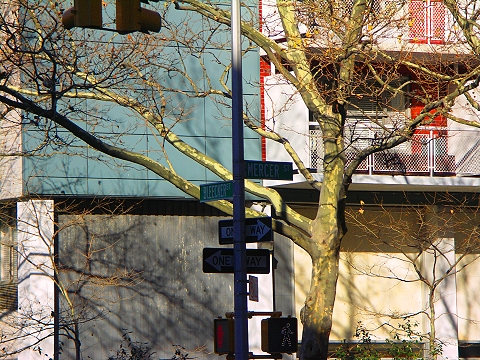 NY-Greenwich_Village-Mercer_Street-NYU_Area-05.jpg