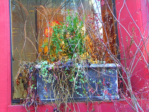 NY-Greenwich_Village-Mercer_Street-NYU_Area-07.jpg