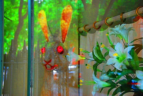 NY-Greenwich_Village_Summer-03-Windows-Rabbit-2.JPG