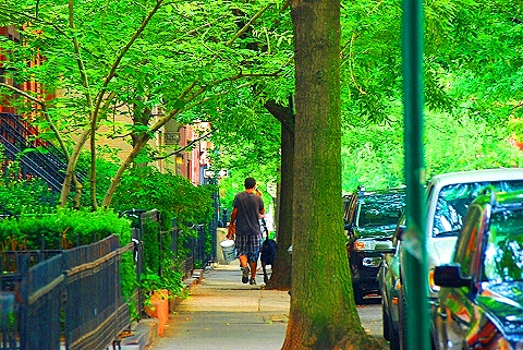NY-Greenwich_Village_Summer-17-People-Man_and_Dog.JPG