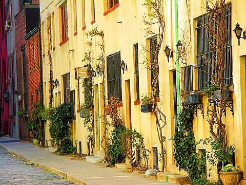 NY-Greenwich_Village-Washington_Mews-5th_Avenue-04.jpg