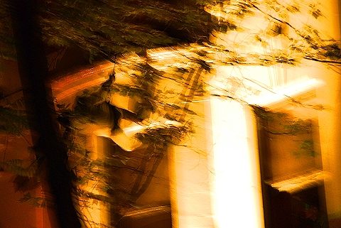 NY-Halloween_on_West_69th_Street-2008-22.JPG