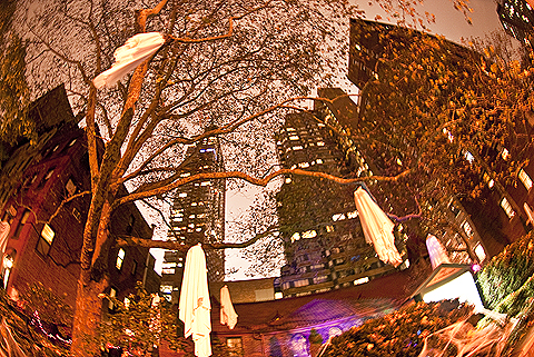 NY-Halloween-West_69th_Street_Block_Association_Party-2009-09.jpg